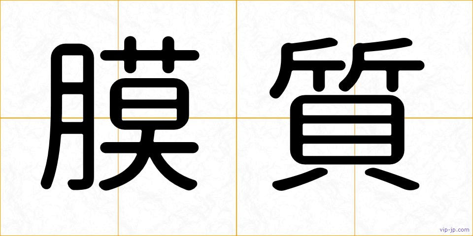 膜質の画像