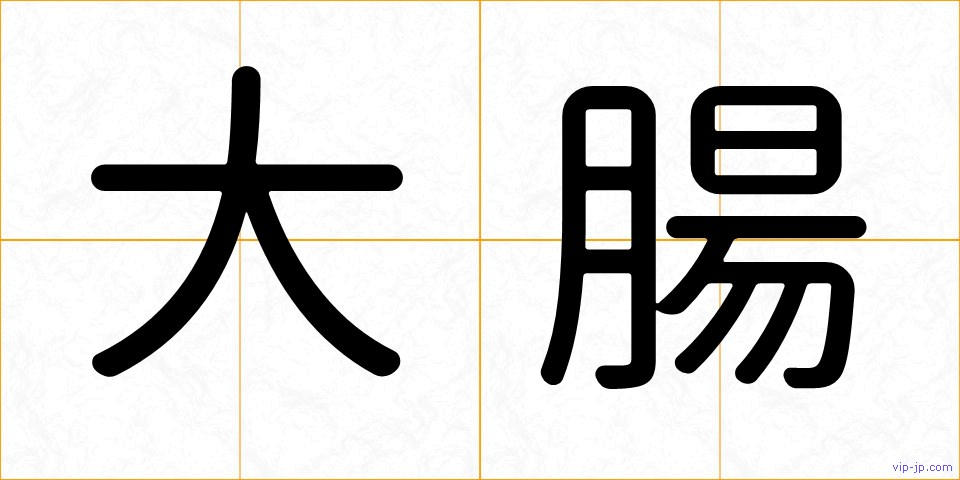 大腸の画像