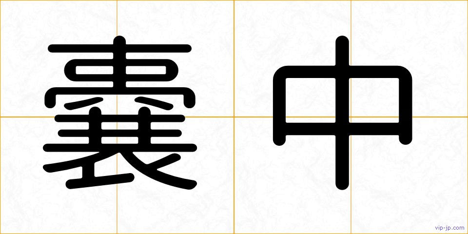 嚢中の画像