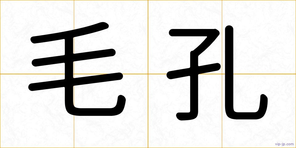 毛孔の画像