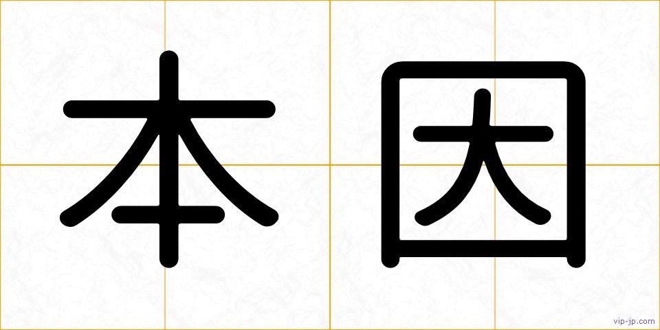 本因の画像