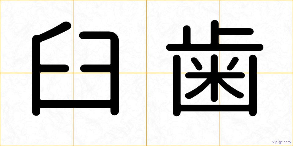 臼歯の画像