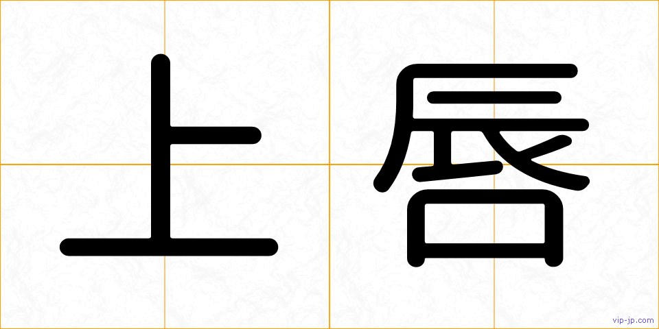 上唇の画像