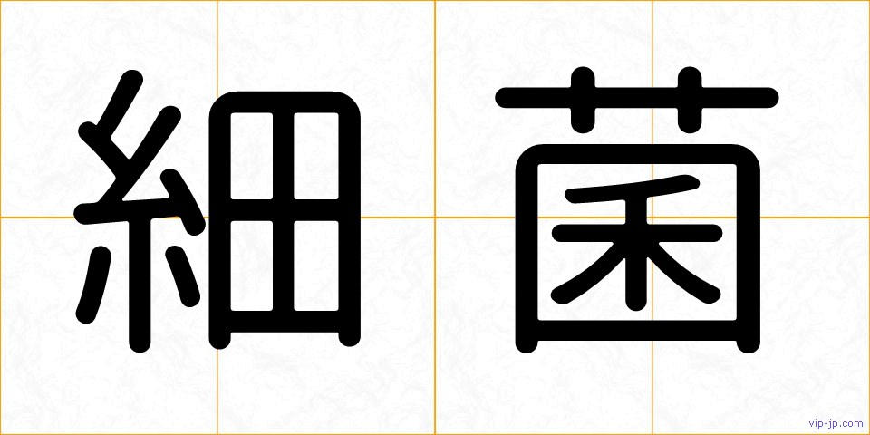 細菌の画像