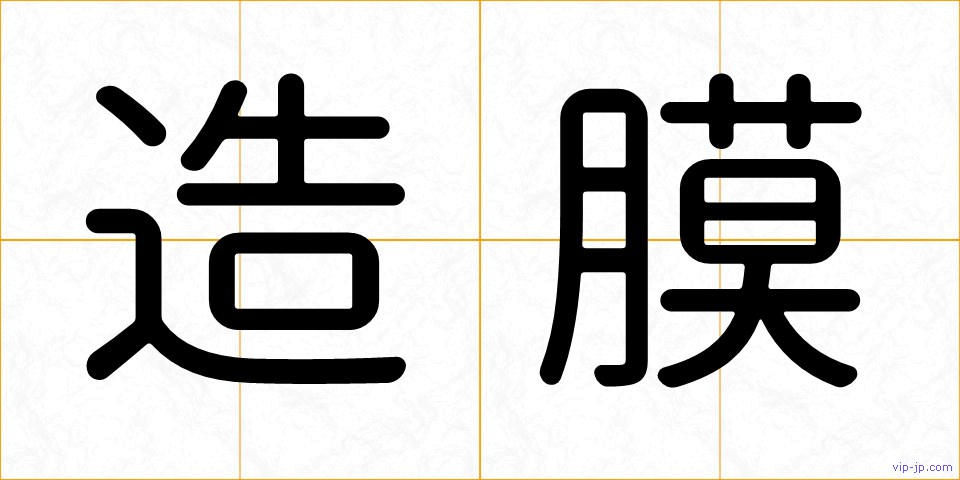 造膜の画像