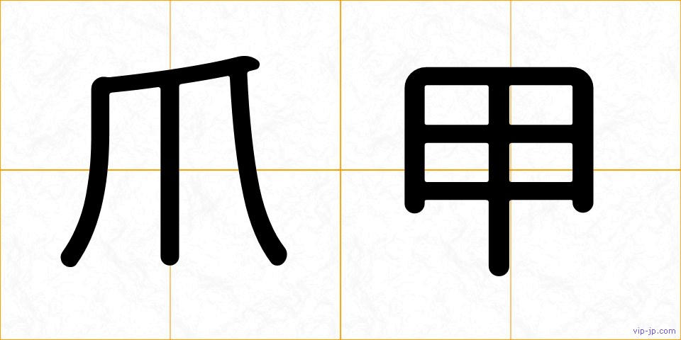 爪甲の画像