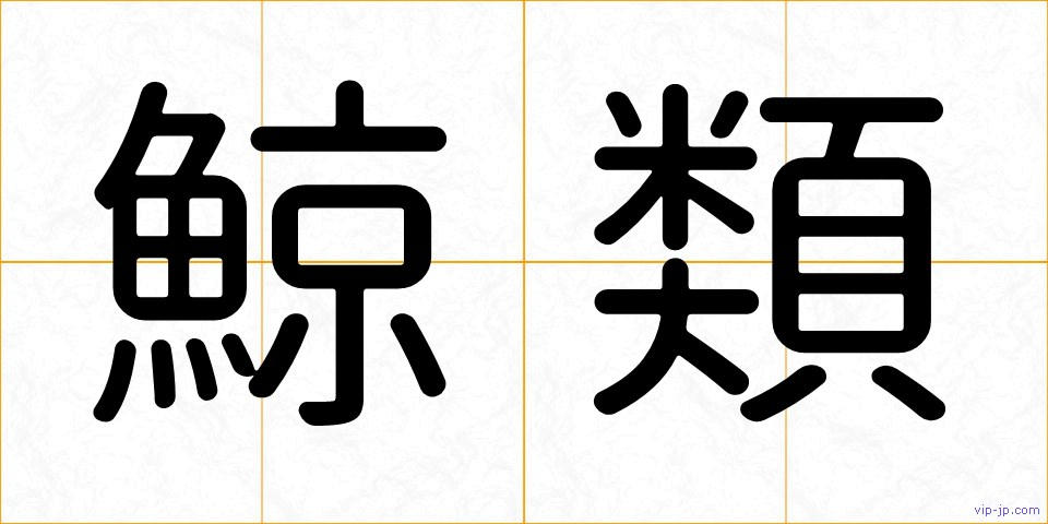鯨類の画像