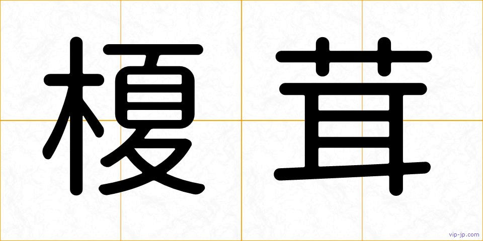 榎茸の画像