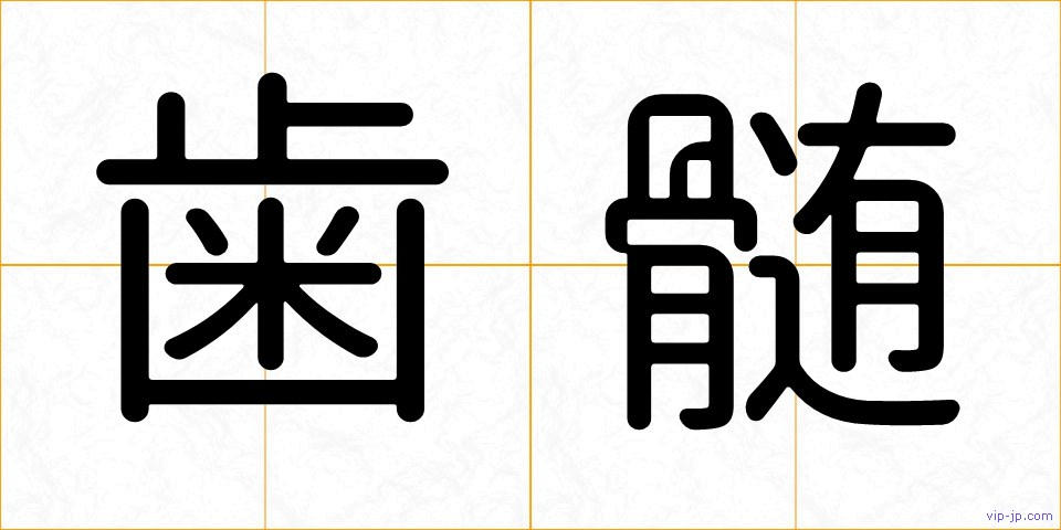 歯髄の画像