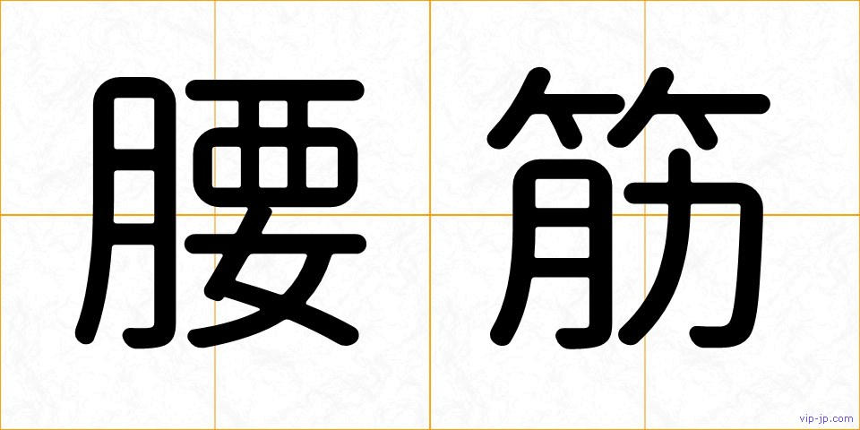 腰筋の画像