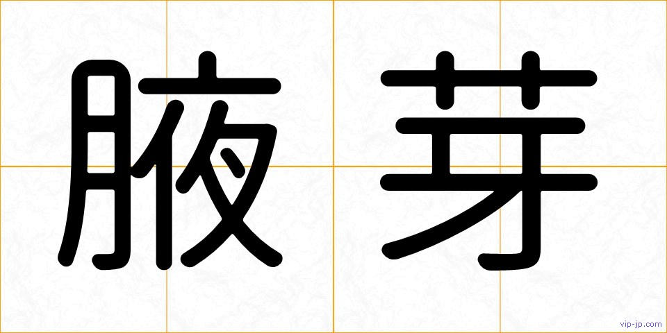 腋芽の画像