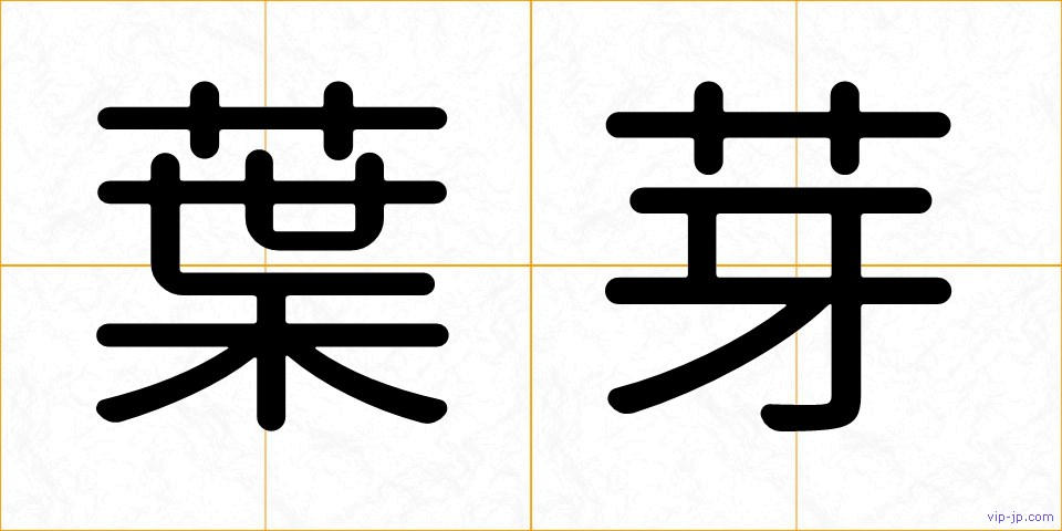 葉芽の画像
