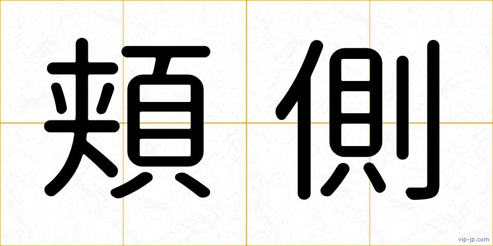 頬側の画像