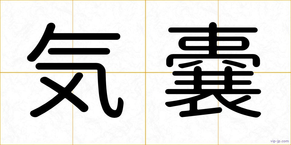 気嚢の画像