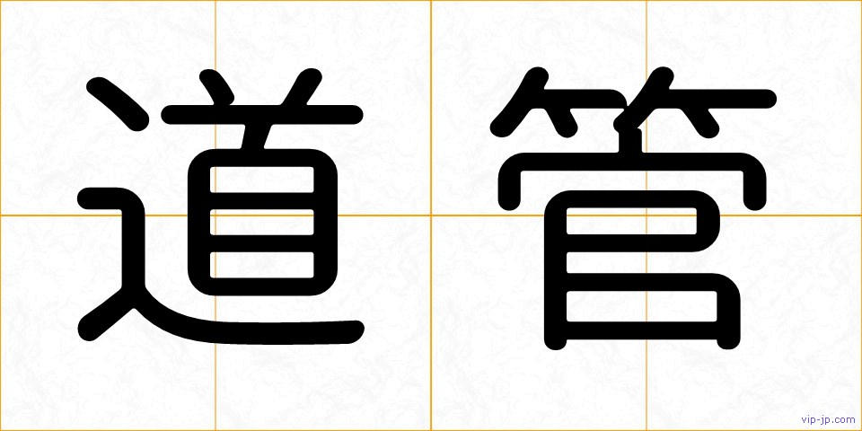 道管の画像