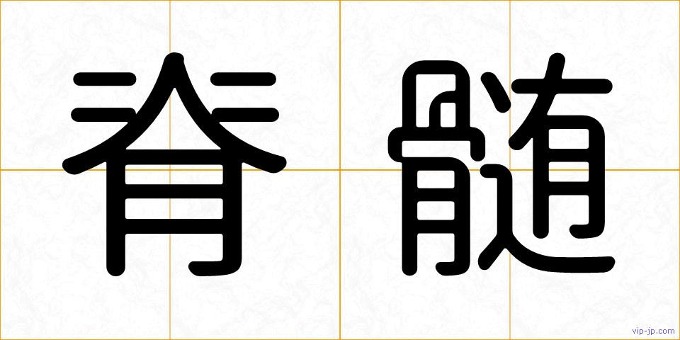 脊髄の画像