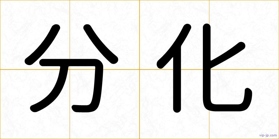 分化の画像