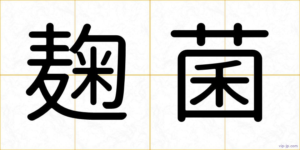 麹菌の画像