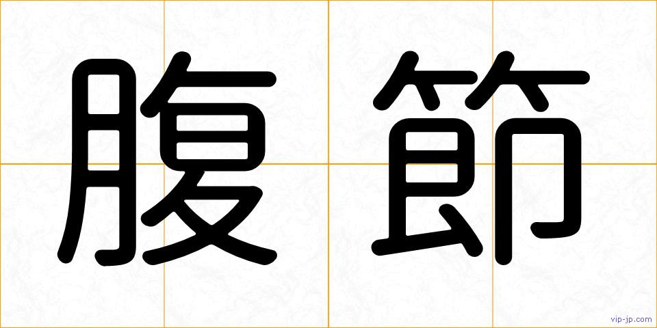 腹節の画像
