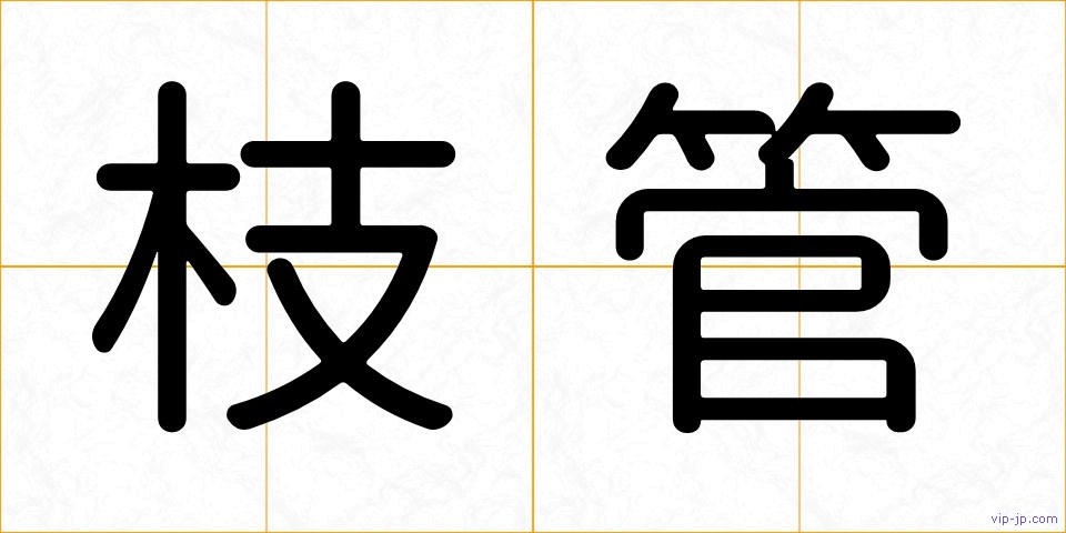 枝管の画像