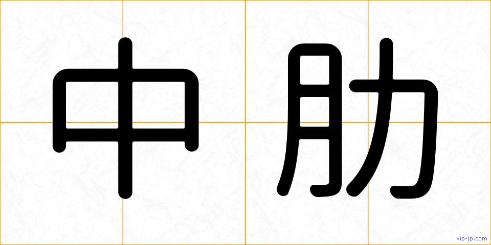中肋の画像