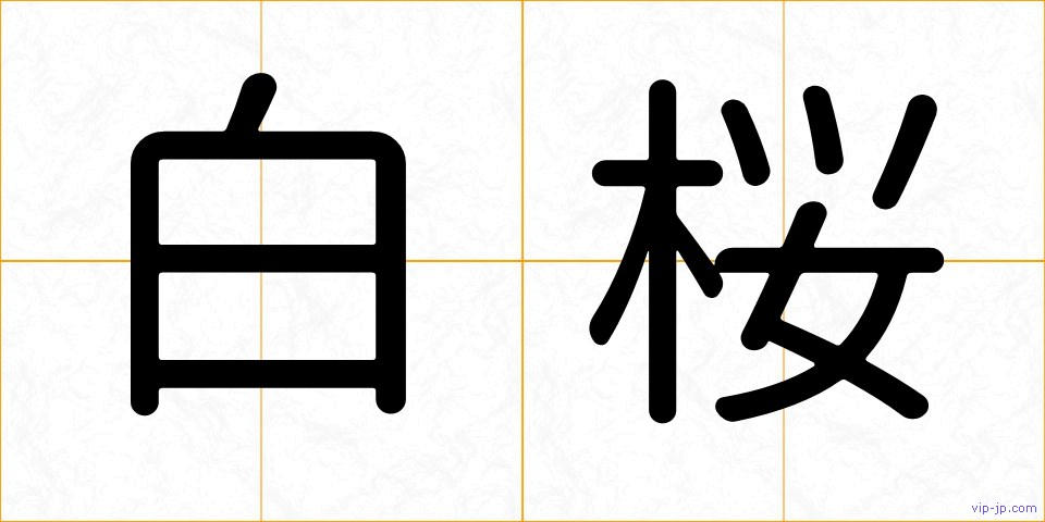 白桜の画像
