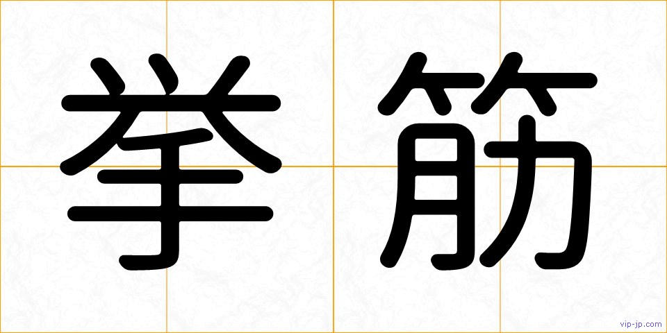 挙筋の画像