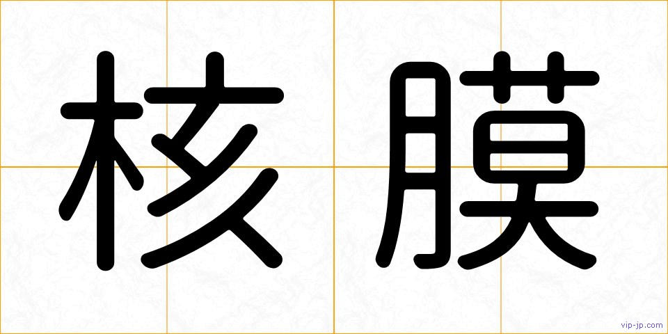 核膜の画像