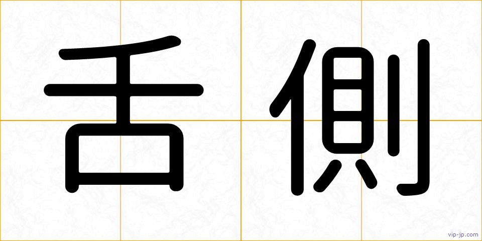舌側の画像