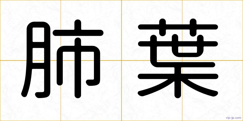肺葉の画像