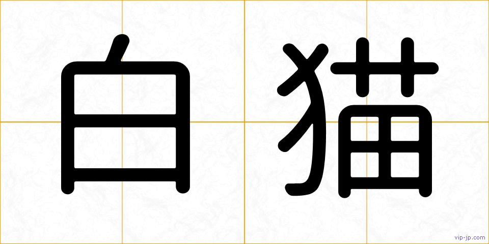 白猫の画像