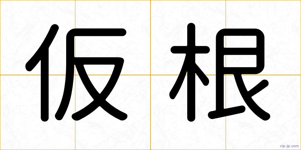 仮根の画像