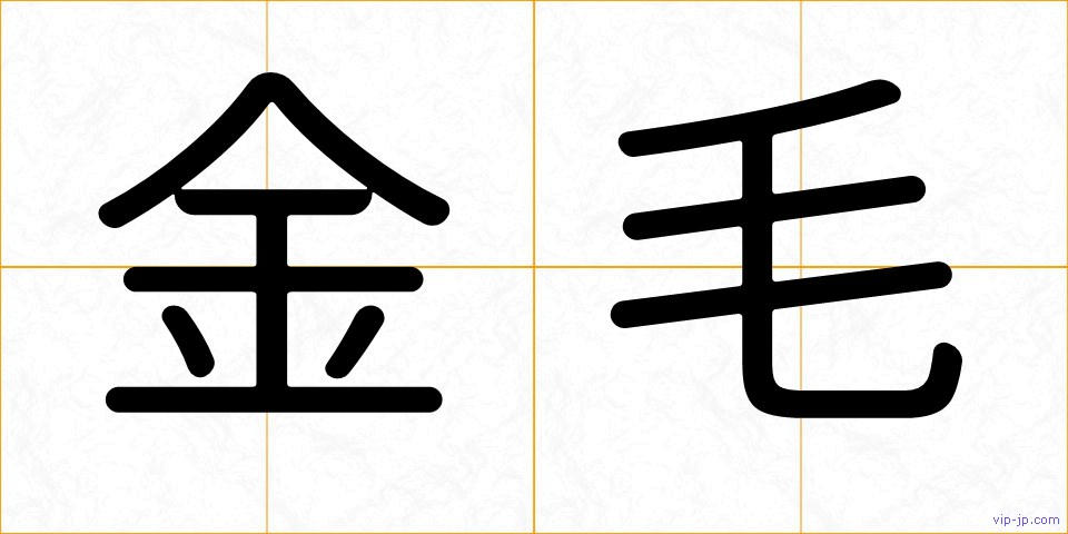 金毛の画像