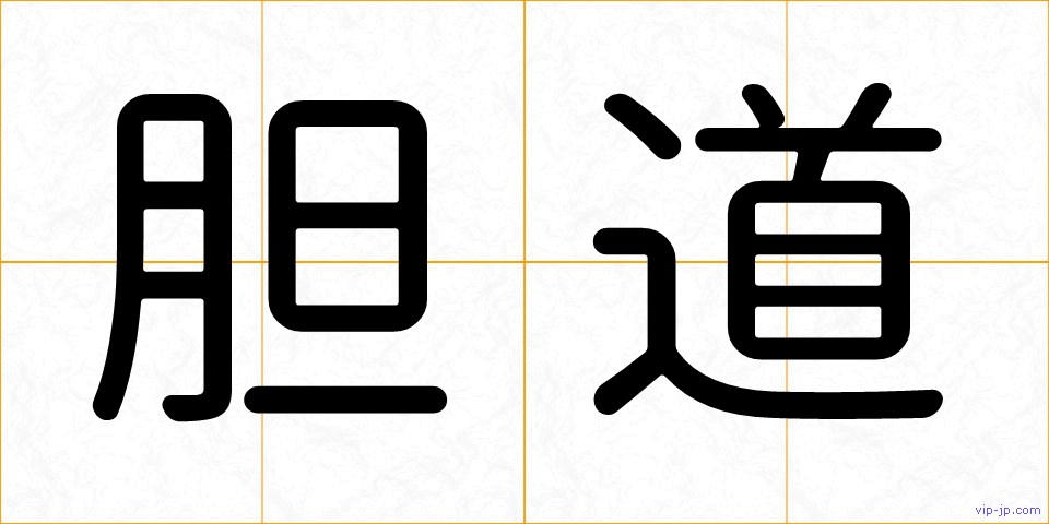 胆道の画像