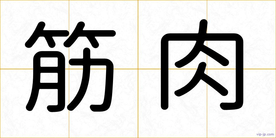 筋肉の画像
