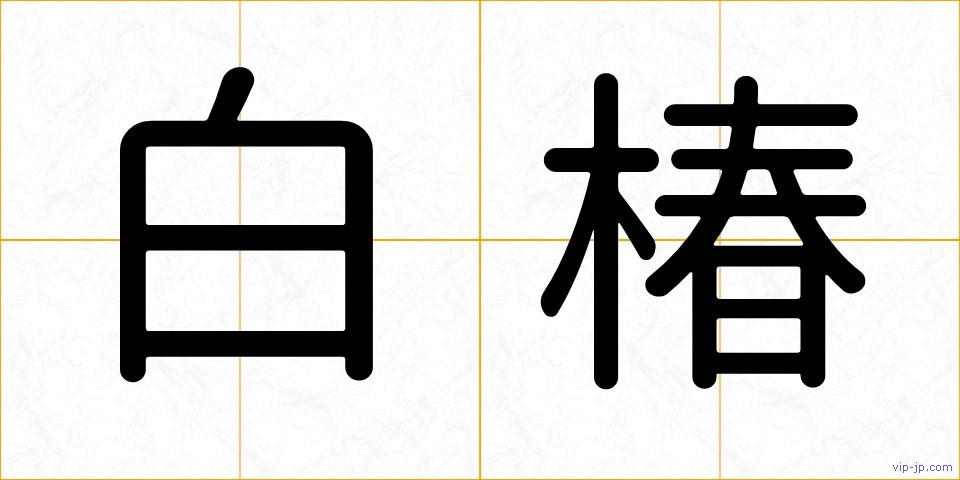 白椿の画像