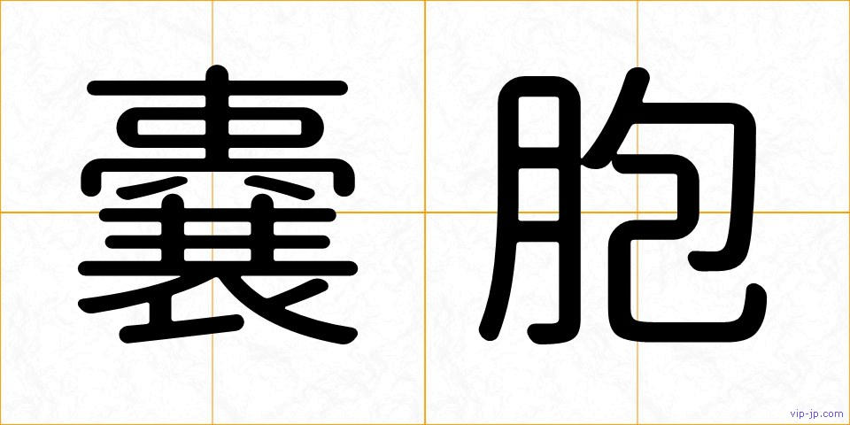 嚢胞の画像