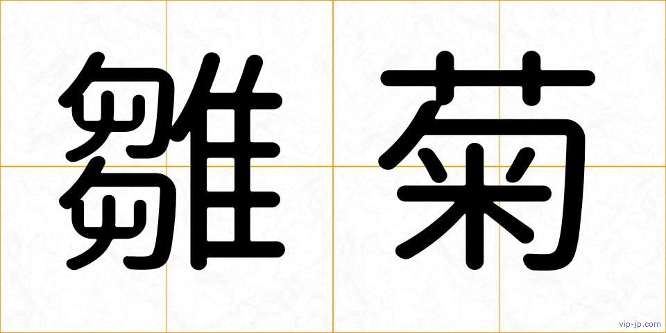 雛菊の画像