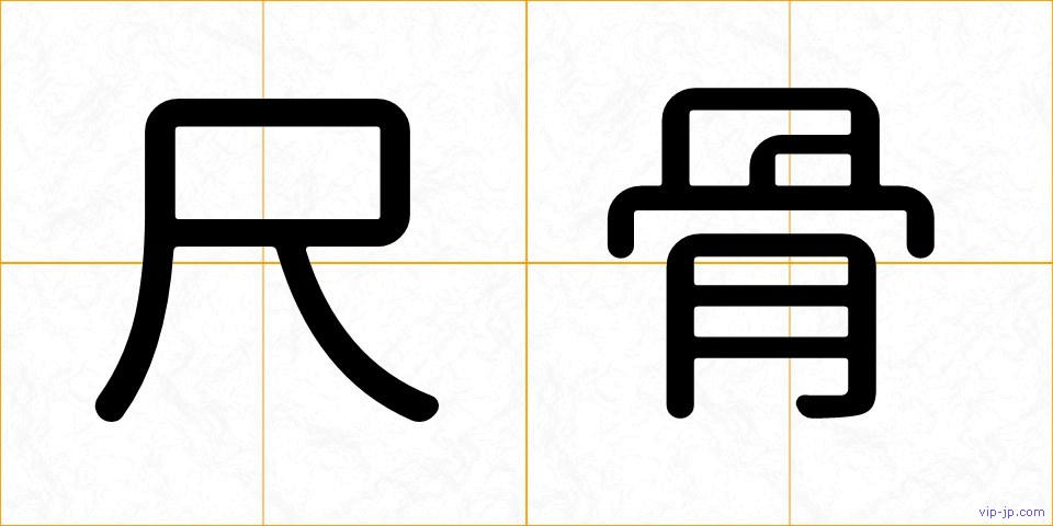 尺骨の画像