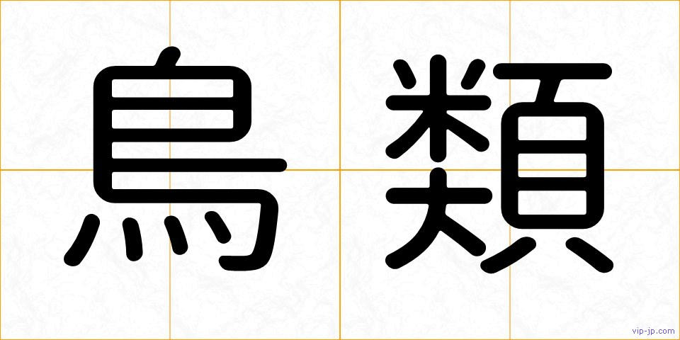 鳥類の画像