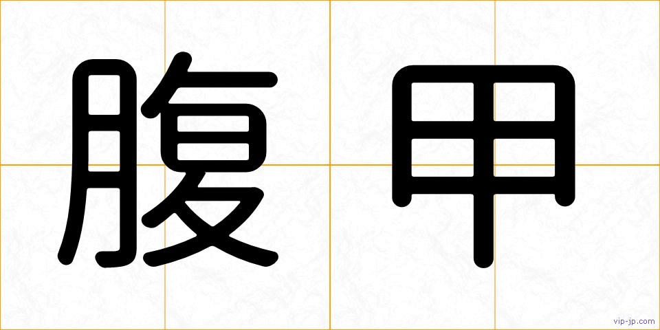 腹甲の画像