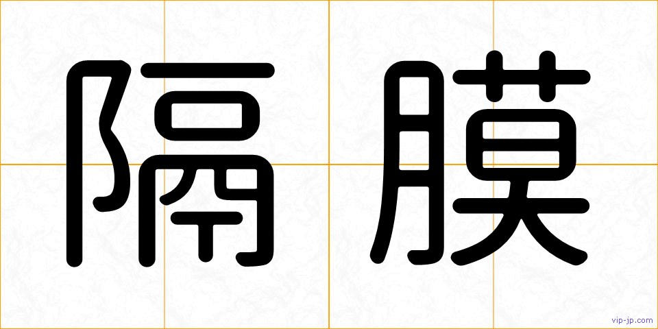 隔膜の画像
