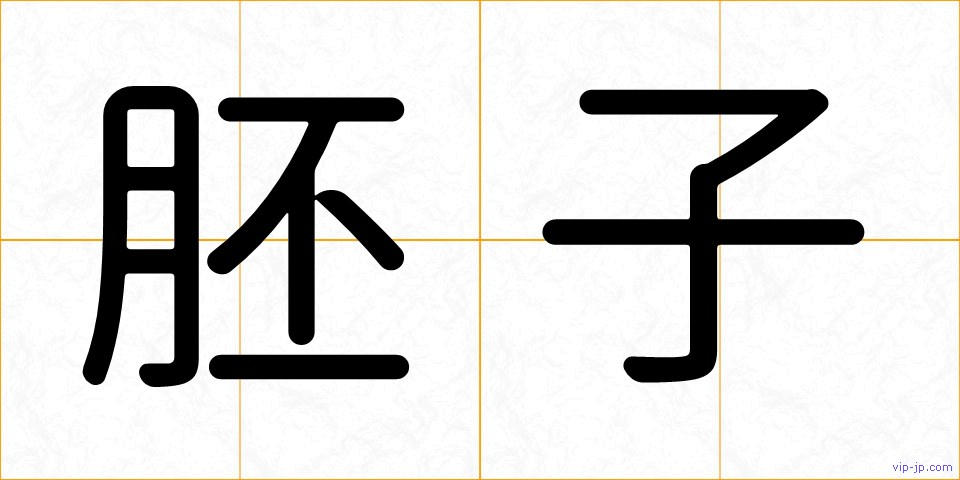 胚子の画像