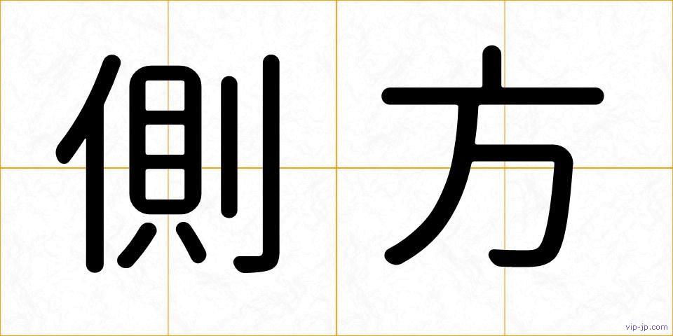 側方の画像