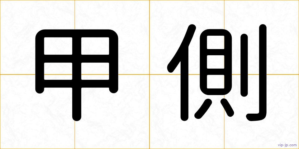 甲側の画像