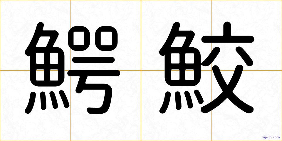 鰐鮫の画像