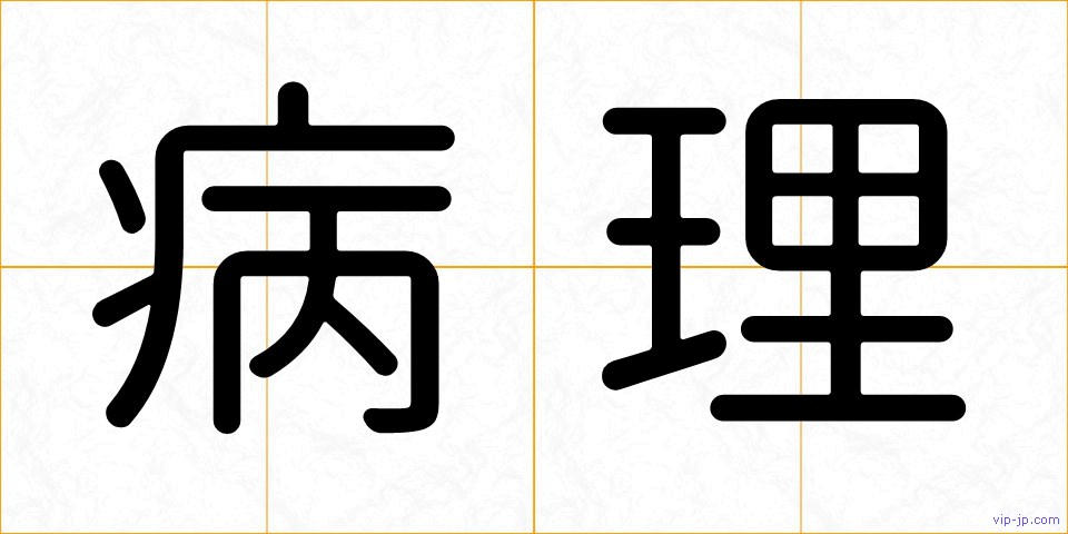 病理の画像