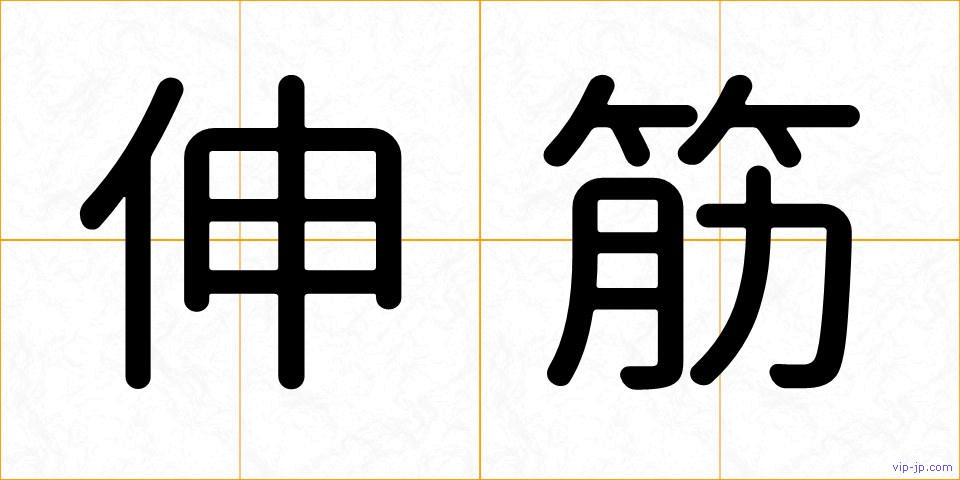 伸筋の画像