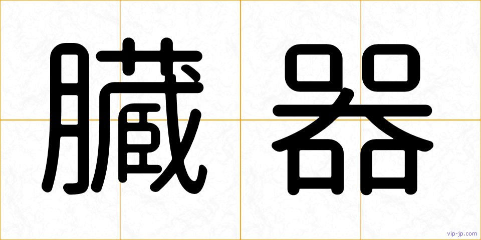 臓器の画像
