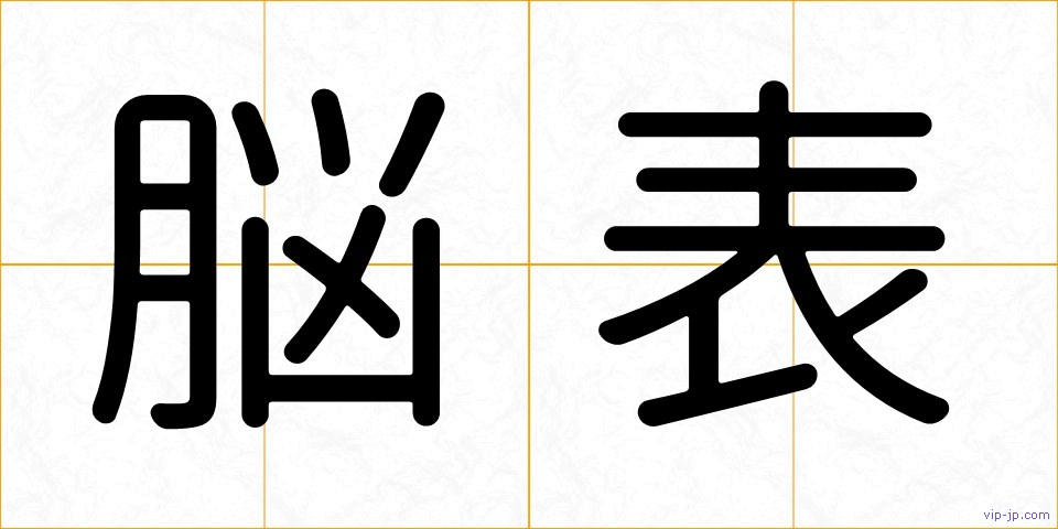 脳表の画像